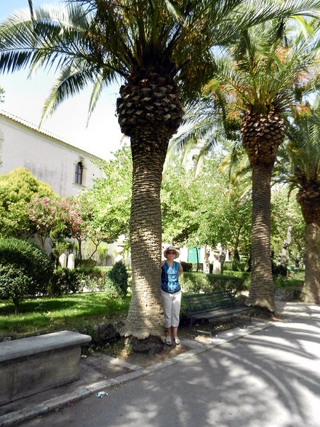 Отзывы об обучении на Мальте