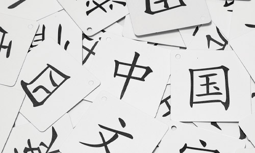 Погружение в языковую среду