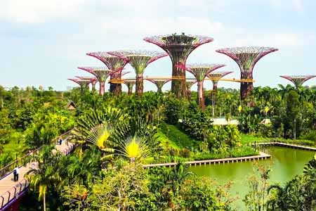 школа пансион