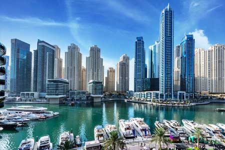 Бакалавриат в ОАЭ