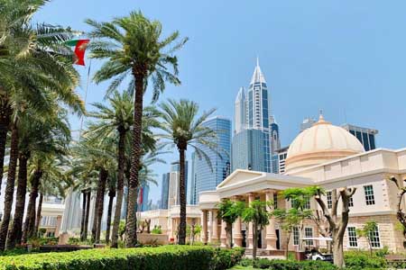 университеты Дубая