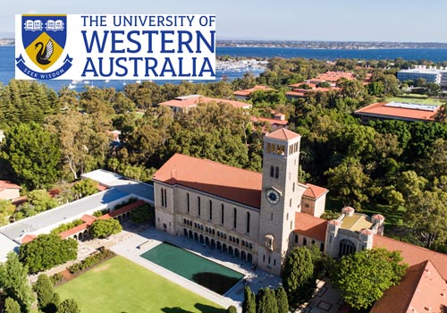 обучение за рубежом