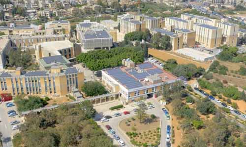 обучение на Мальте